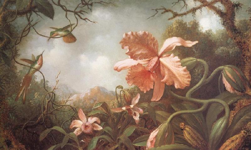 Martin Johnson Heade The Hummingbirds and Two Varieties of Orchids